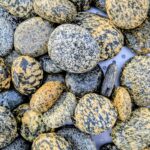 Tiger Pebbles( Zebra Pebbles) 3-8 CM