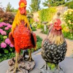 ROOSTER AND HEN FOR GARDEN