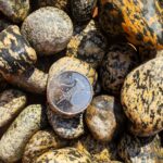 Tiger Pebbles( Zebra) 1-2 CM